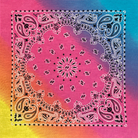 BANDANNA Paisley Pastel 12pk 22" x 22"