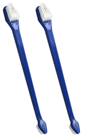 BLUESTEM Dental Toothbrushes 2pk