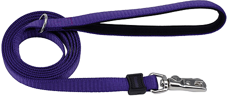 COASTAL Inspire Leash 5/8 x 6 Purple