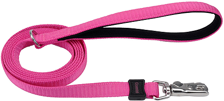 COASTAL Inspire Leash 1" x 6 Pink