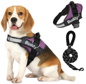 Pet Clothing Dog Couple Chest Strap Rope (Option: Purple-L)